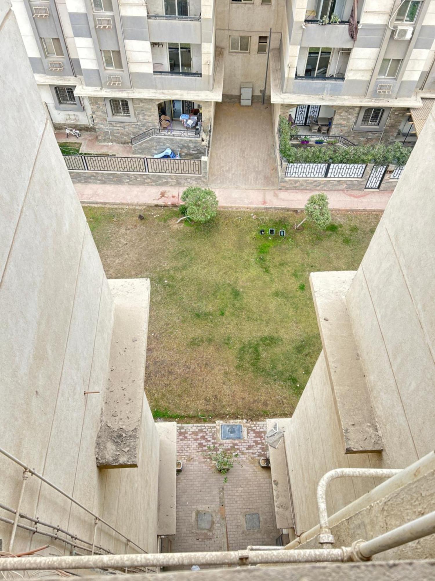 Habib * Cairo